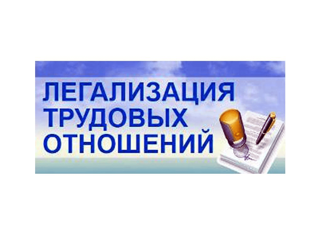 Информационный визит –информирование работников и работодателей о последствиях «теневой» занятости.
