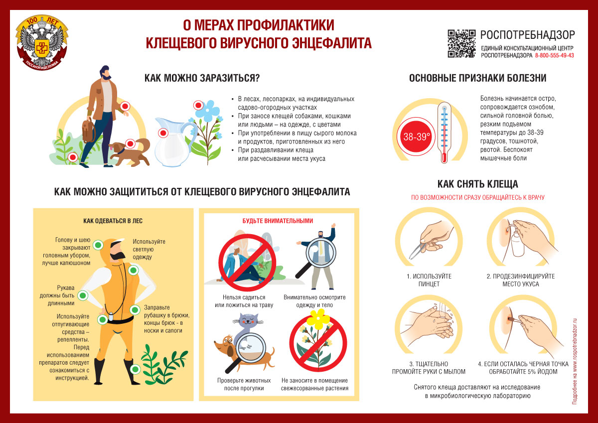 Информация по  профилактике клещевых инфекций.