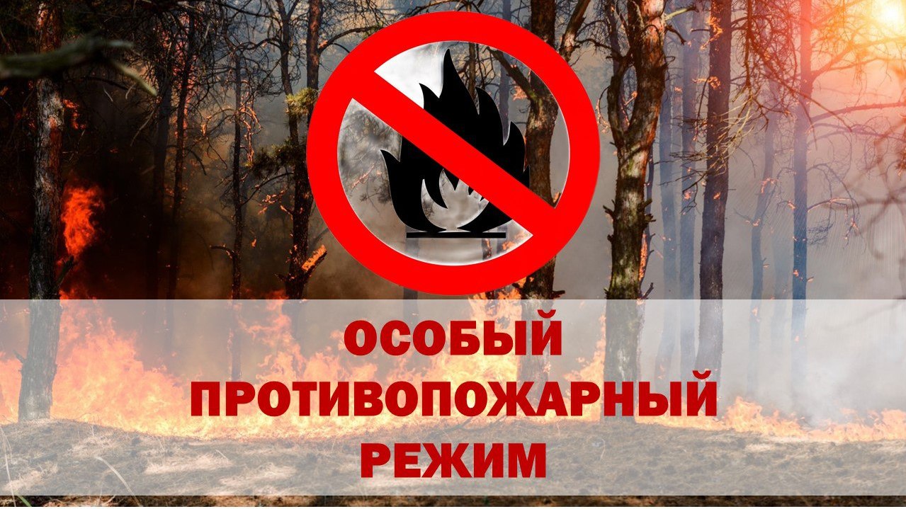 Уважаемые жители и гости района! Постановлением Правительства Кировской области от 30.05.2025 № 274-П в лесах Кировской области установлен особый противопожарный режим.