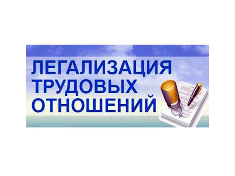 Информационный визит –информирование работников и работодателей о последствиях «теневой» занятости. Информационный визит –информирование работников и работодателей о последствиях «теневой» занятости.