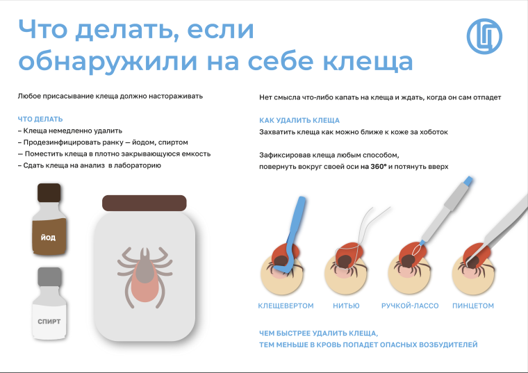 Информация по профилактике клещевых инфекций.