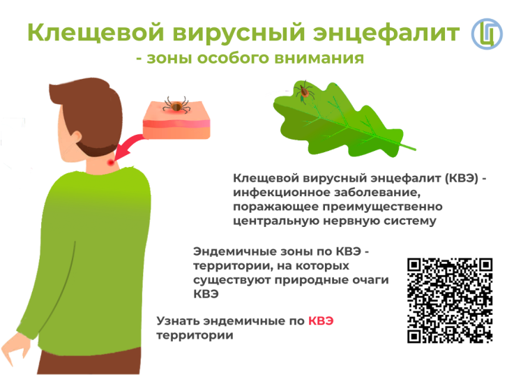 Информация по профилактике клещевых инфекций.