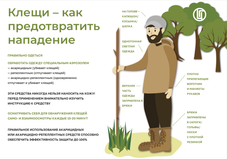 Информация по профилактике клещевых инфекций.
