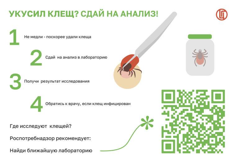 Информация по профилактике клещевых инфекций.