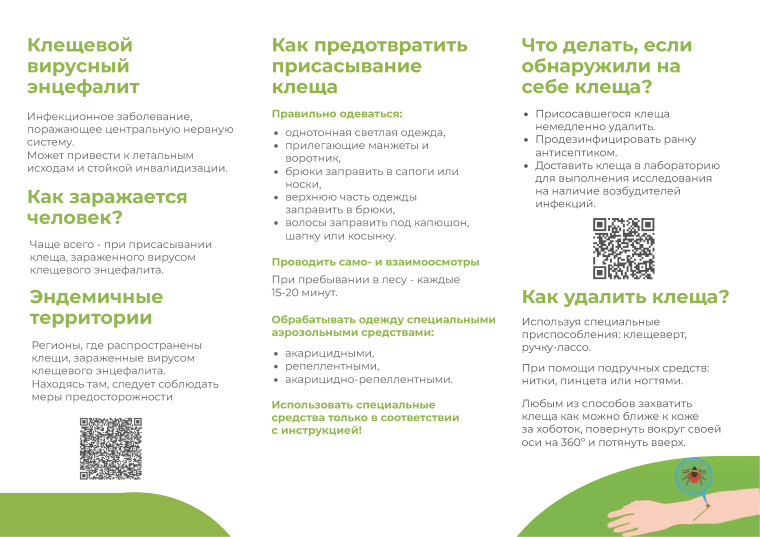 Информация по профилактике клещевых инфекций.