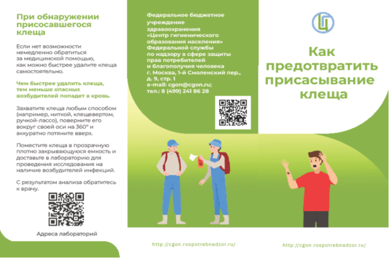 Информация по профилактике клещевых инфекций.