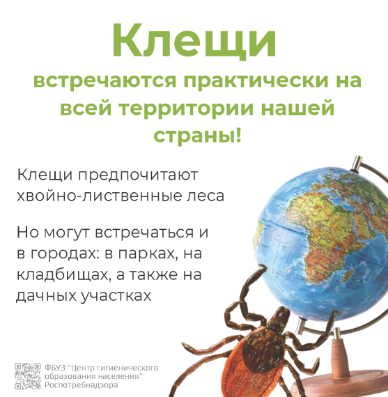 Информация по профилактике клещевых инфекций.
