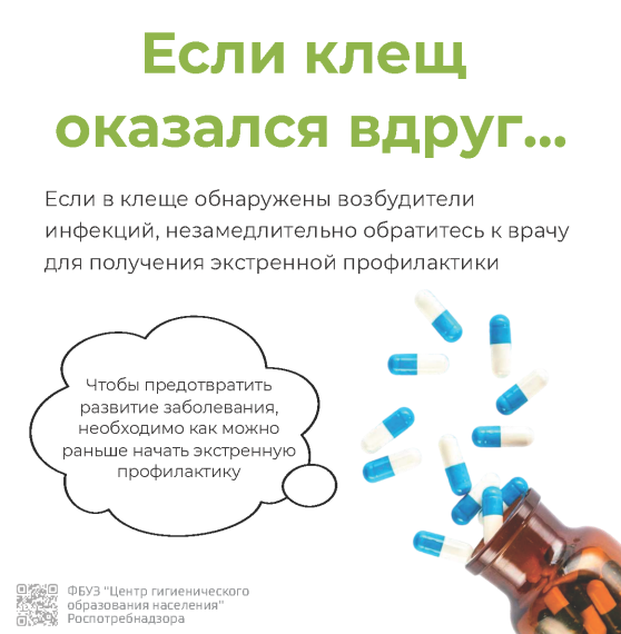 Информация по профилактике клещевых инфекций.