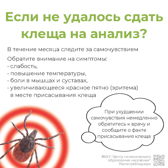 Информация по профилактике клещевых инфекций.
