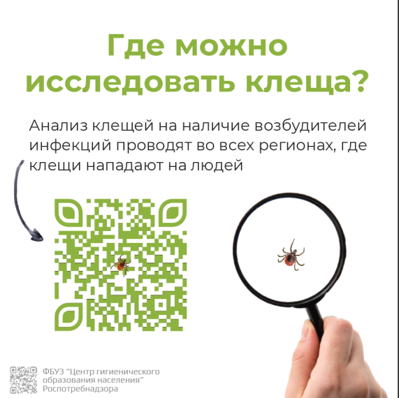 Информация по профилактике клещевых инфекций.