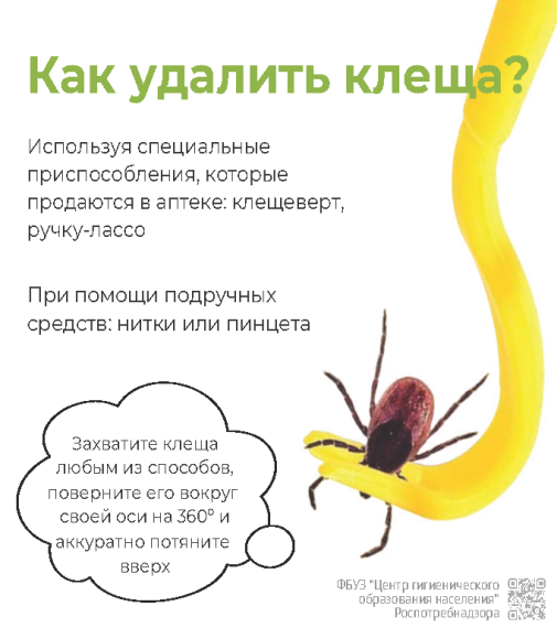 Информация по профилактике клещевых инфекций.